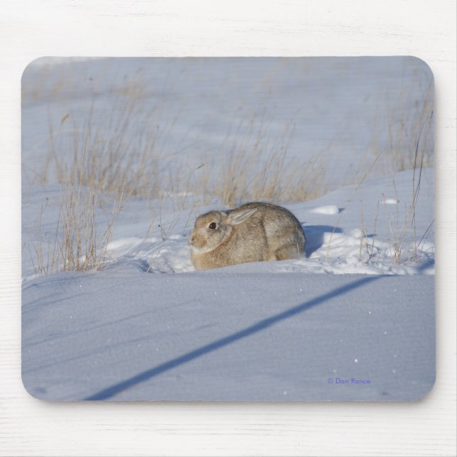R5 Cottontail Rabbit in Snow Mouse Pad (Front)