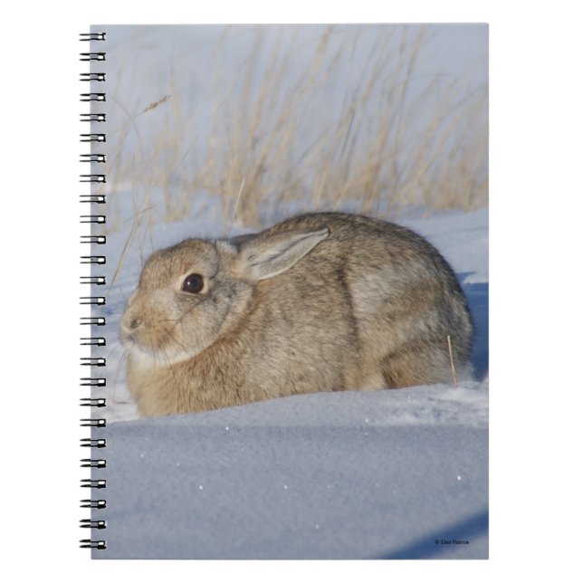 R5 Cottontail Rabbit in Snow Notebook (Front)