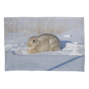 R5 Cottontail Rabbit in Snow Pillow Case