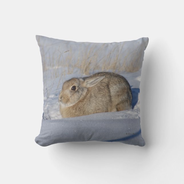 R5 Cottontail Rabbit in Snow Throw Pillow (Front)