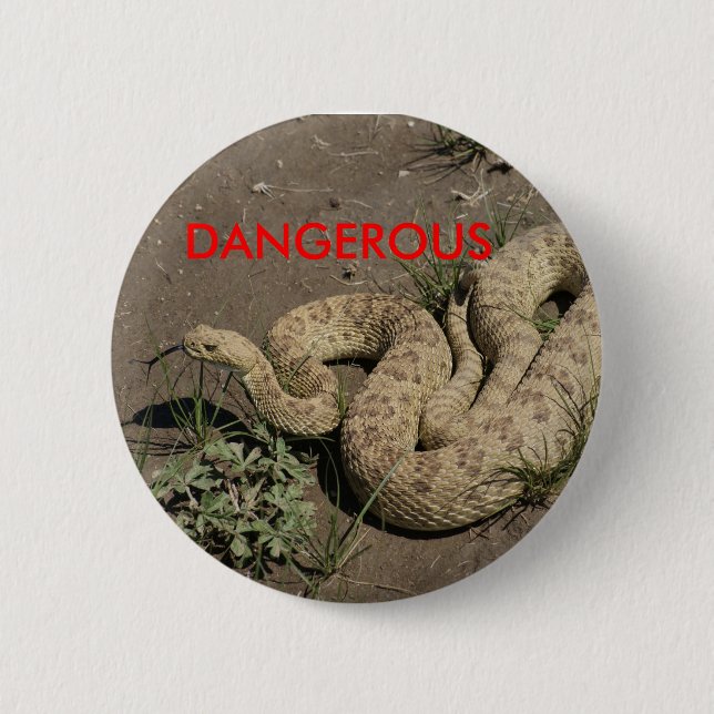 R6 Prairie Rattlesnake Button (Front)