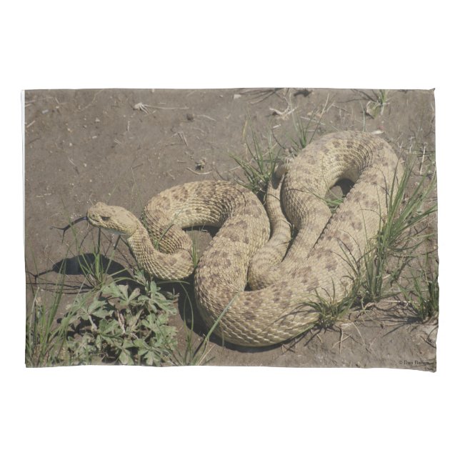 R6 Prairie Rattlesnake Pillow Case (Front)