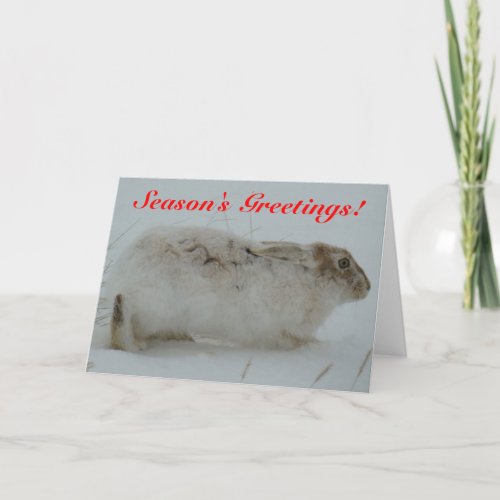 R7 Snowshoe Hare Holiday Card