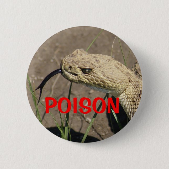 R8 Prairie Rattlesnake Head Shot Button (Front)