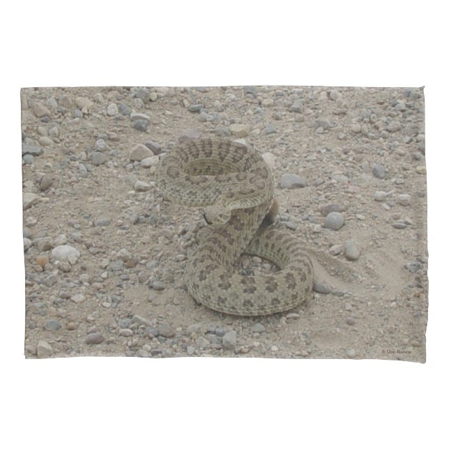 R9 Prairie Rattlesnake Coiled Pillow Case (Front)