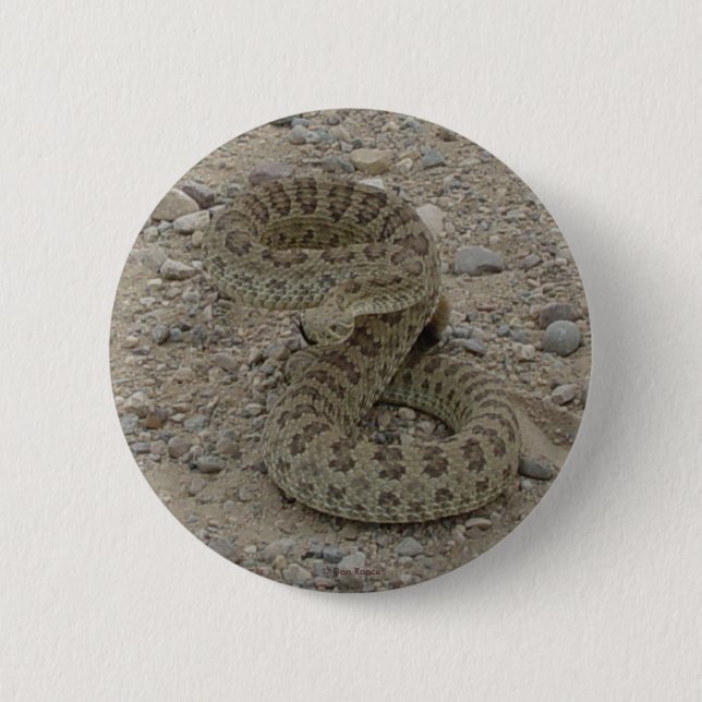 R9 Prairie Rattlesnake Pinback Button (Front)