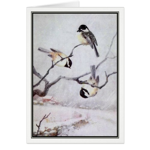 R Bruce Horsfall _ Vintage Black_Capped Chickadee