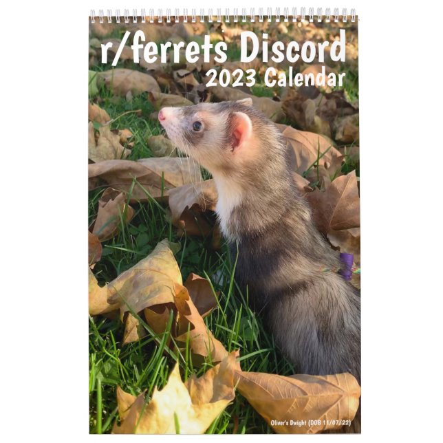 r/ferrets Calendar 2023 (Cover)