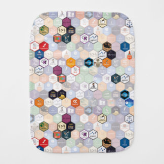 R hex baby burp cloth