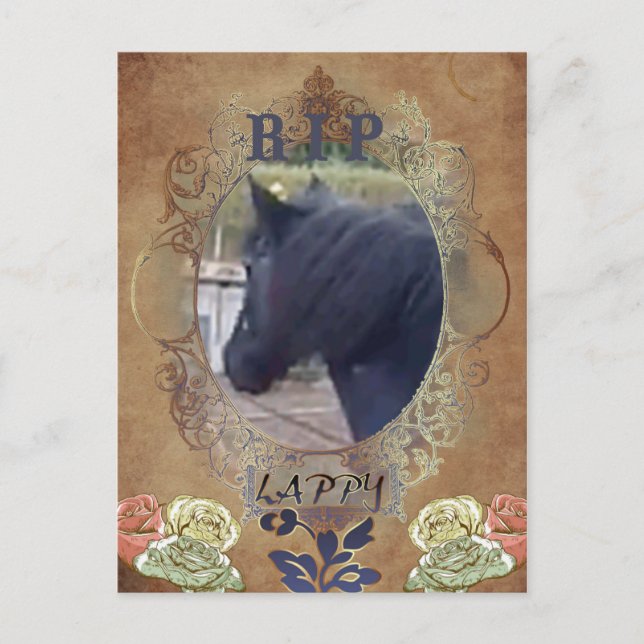 R.I.P. LAPPY - Postcard (Front)