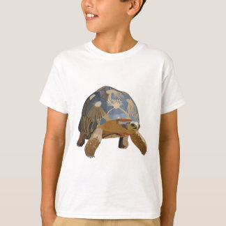R is for Radiated Tortoise T-Shirt
