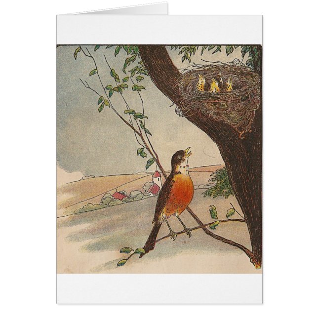 R is for Robin Cards (Front)