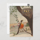 R is for Robin Postcard (Front/Back)