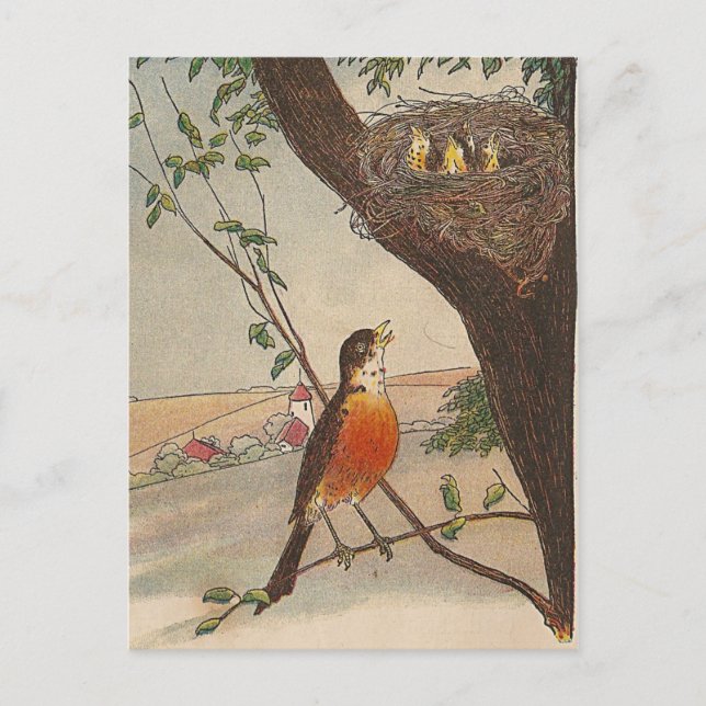 R is for Robin Postcard (Front)