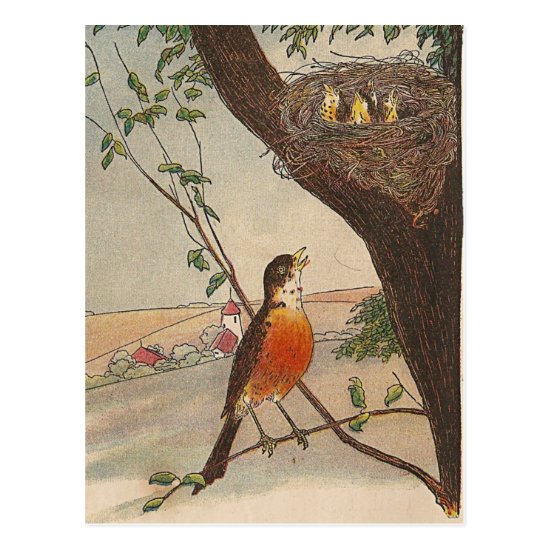 R is for Robin Postcard