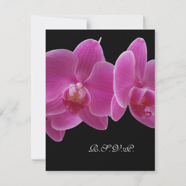 R.S.V.P. Without Menu Invitation for 5 x 7 Invite (Front)