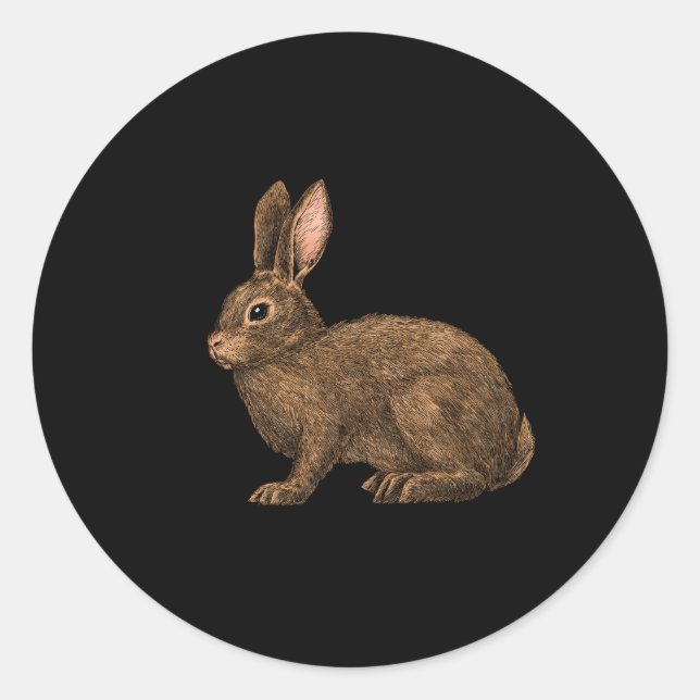 Rabbit 2 classic round sticker (Front)