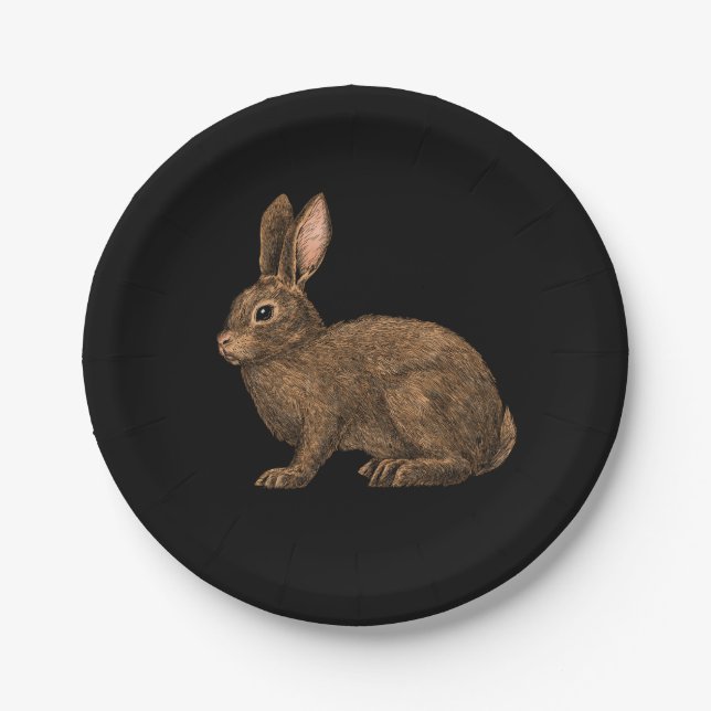 Rabbit 2 paper plates (Front)