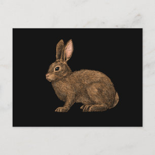 Rabbit 2 postcard