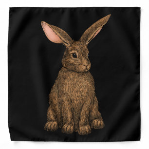 Rabbit 3 bandana