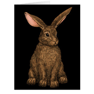 Rabbit 3 cards