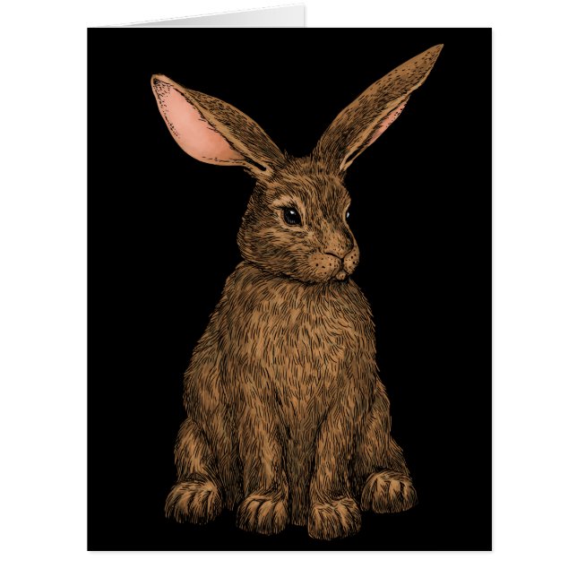 Rabbit 3 cards (Front)