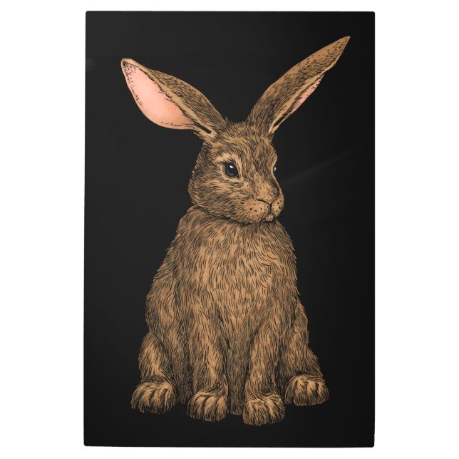 Rabbit 3 metal print (Front)