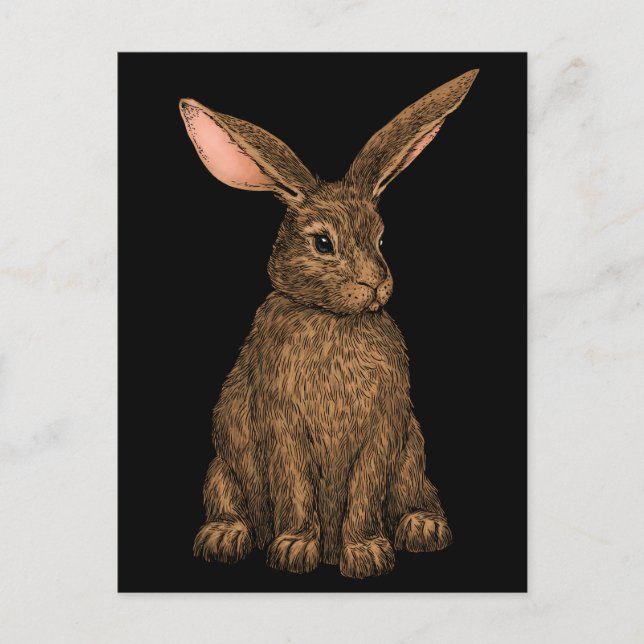 Rabbit 3 postcard (Front)