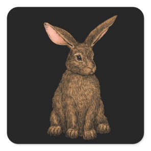 Rabbit 3 square sticker