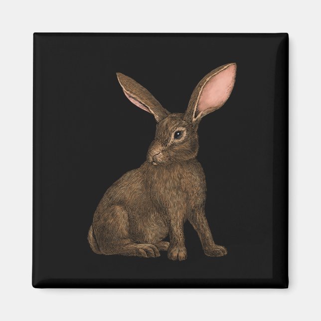 Rabbit 4 magnet (Front)