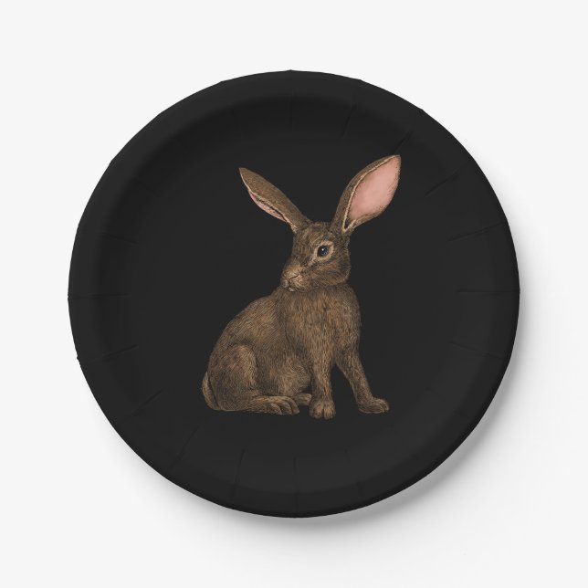 Rabbit 4 paper plates (Front)