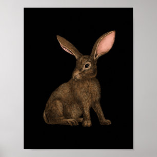 Rabbit 4 poster
