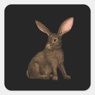 Rabbit 4 square sticker
