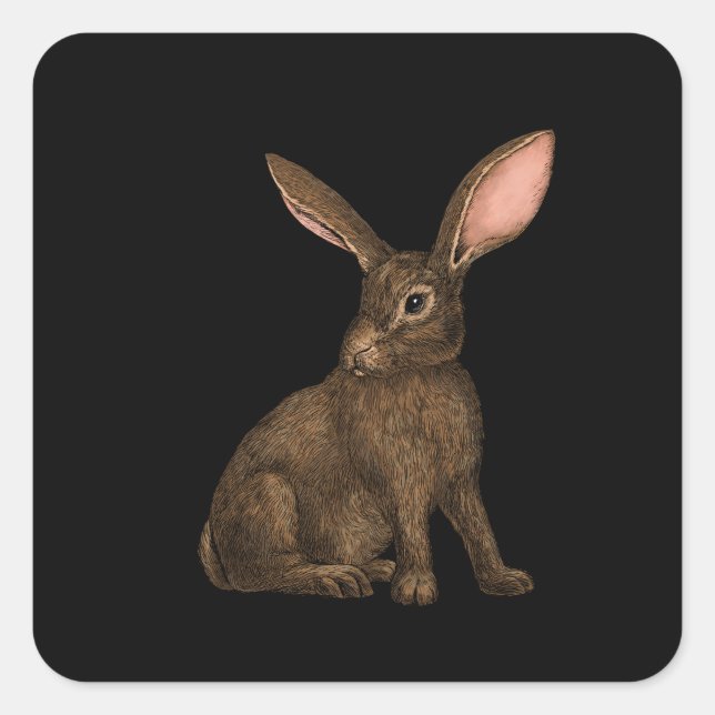 Rabbit 4 square sticker (Front)