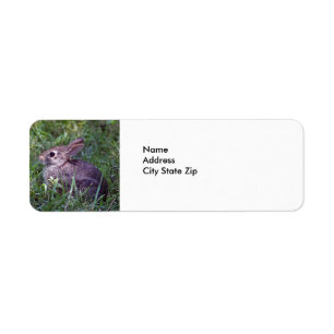 Rabbit 8603 label