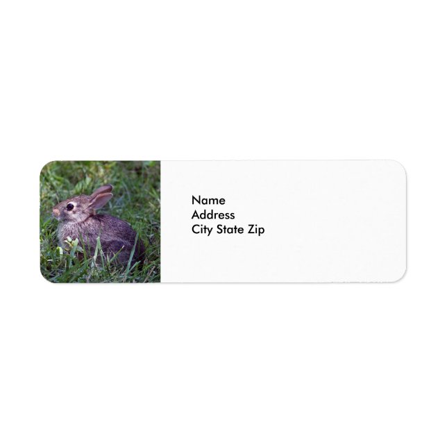 Rabbit 8603 label (Front)