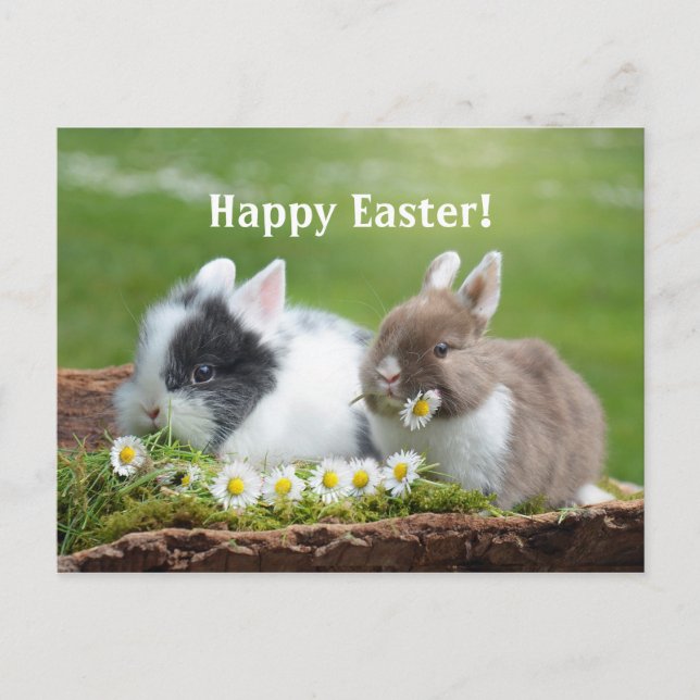 Rabbit 8 Easter Postcard (Front)