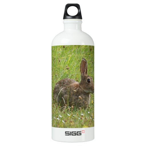 Rabbit Aluminum Water Bottle | Zazzle