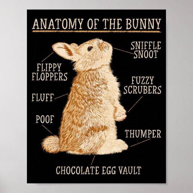 Rabbit Anatomy Bunny Lover Animal Pet Owner  Poster (Front)