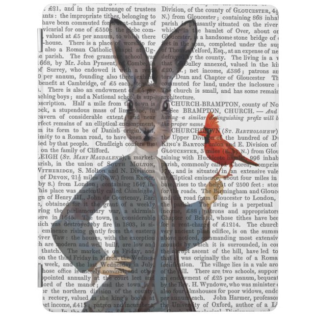 Rabbit and Bird 2 iPad Air Cover (Front)
