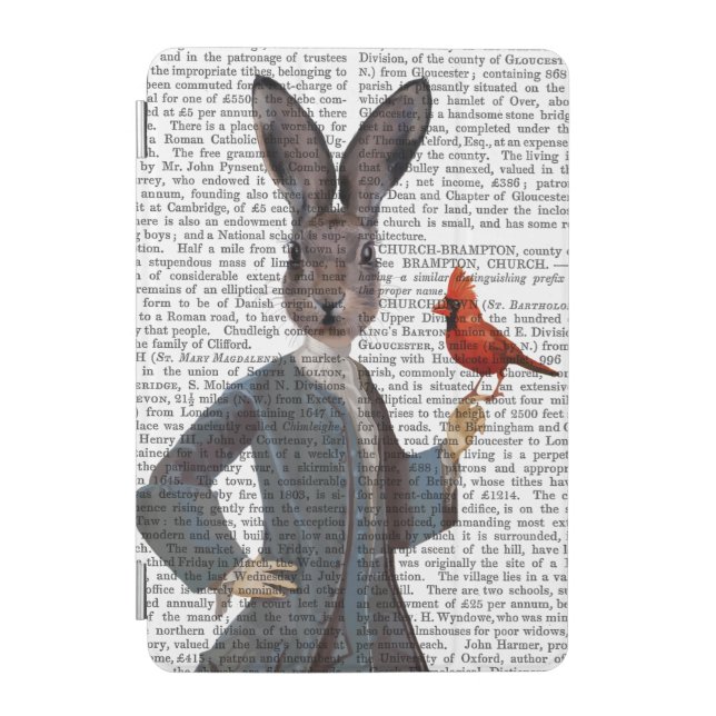 Rabbit and Bird 2 iPad Mini Cover (Front)