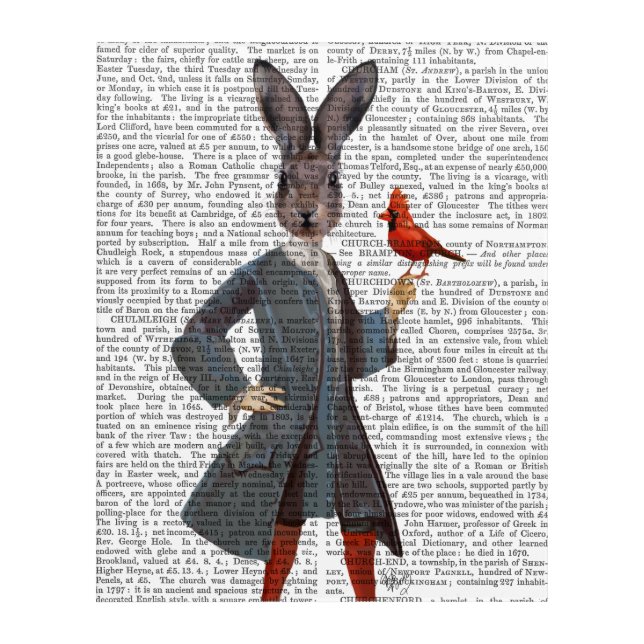 Rabbit And Bird Acrylic Print (Front)