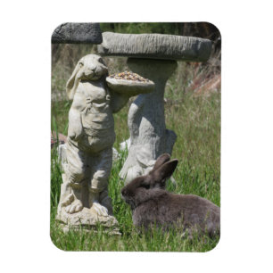 Rabbit and Bunny Statue Bird Feeder Magnet