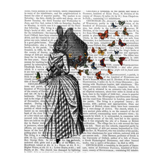 Rabbit and Butterfly Parasol Acrylic Print (Front)