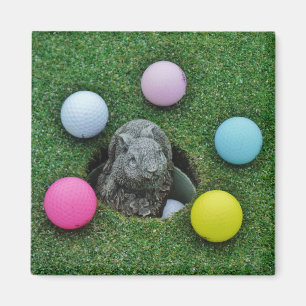 Rabbit and colored Golf Balls Magnet