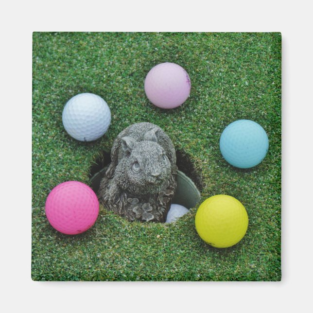 Rabbit and colored Golf Balls Magnet (Front)