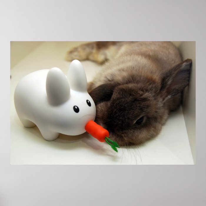 Rabbit and labbit (print)