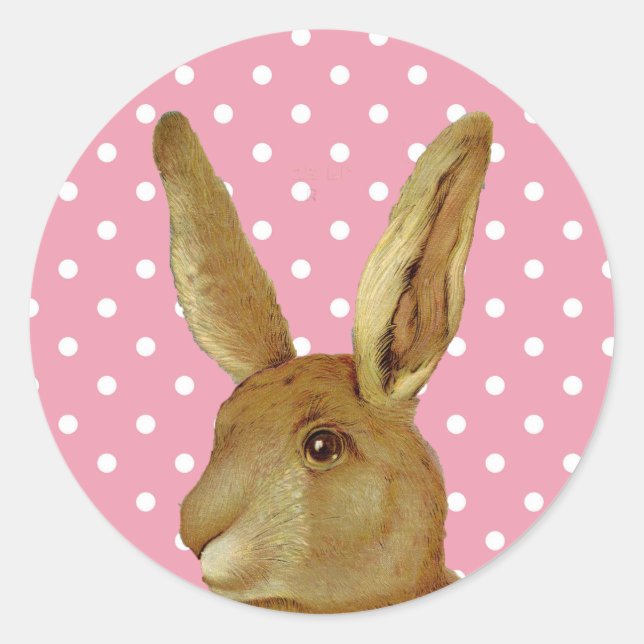 Rabbit and Pink Polka Dot Classic Round Sticker (Front)
