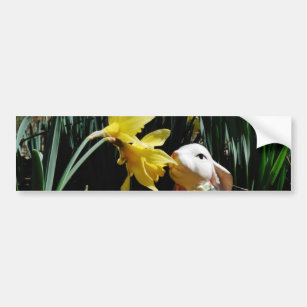 Rabbit and Yellow  Easter egg Bumper Sticker