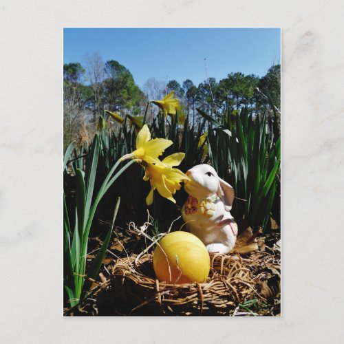 Rabbit and Yellow  Easter egg Holiday Postcard